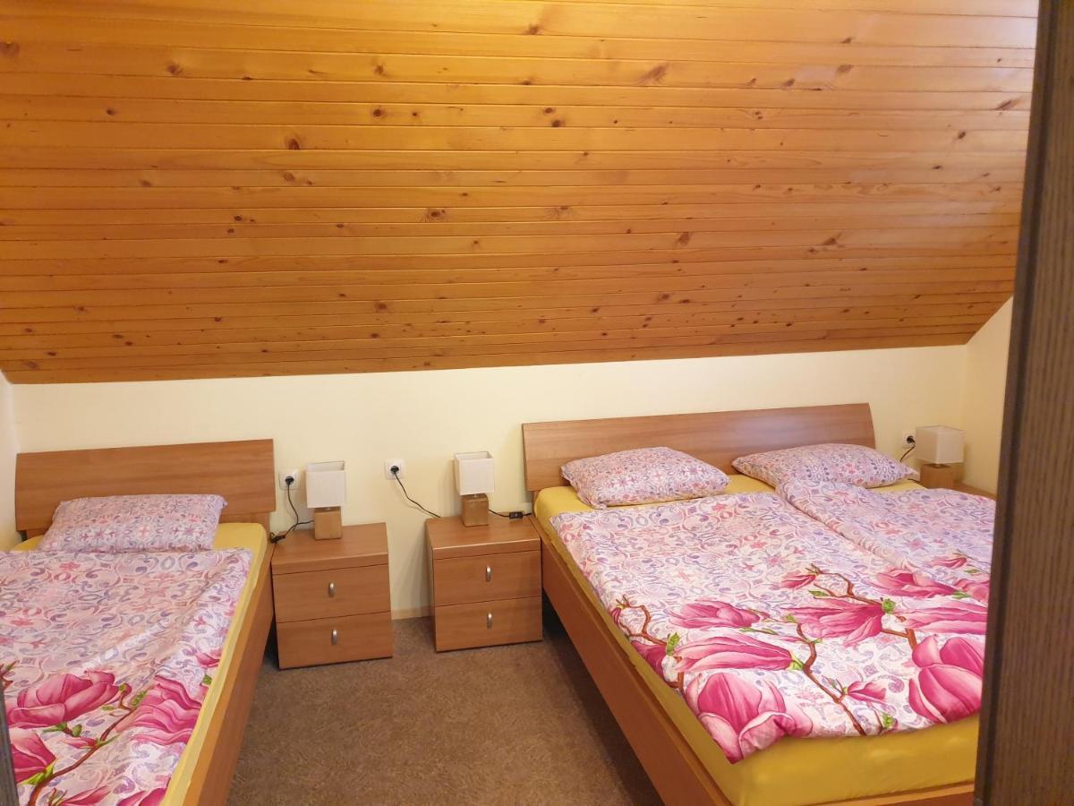 בוהין Apartma Horvat מראה חיצוני תמונה